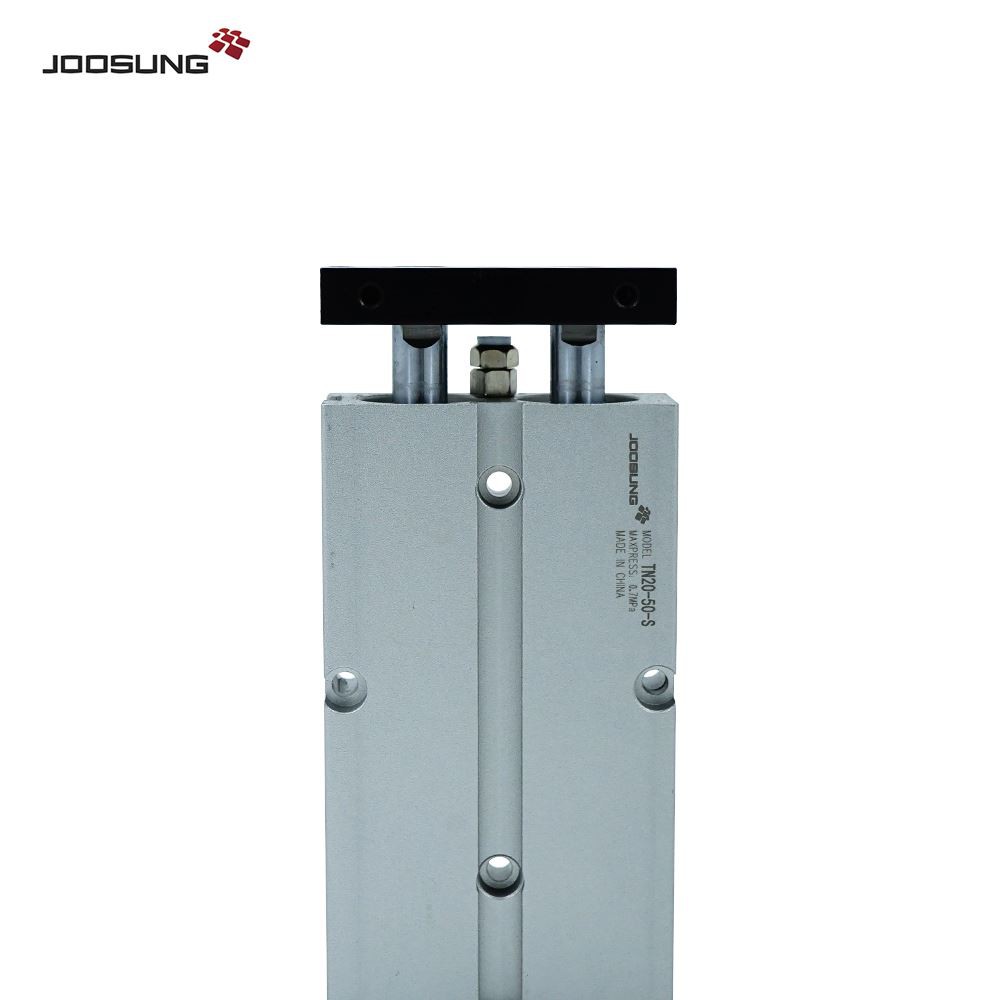 TN pneumatic cylinder